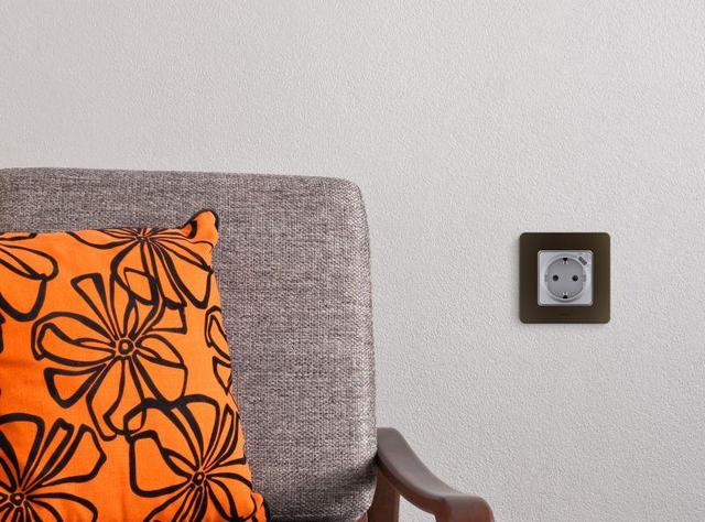 Розетка 1-м СП Inspiria 16А IP20 250В 2P+E немецк. стандарт с заряд. устройством USB тип C 1.5А 5В механизм алюм. Leg 673772