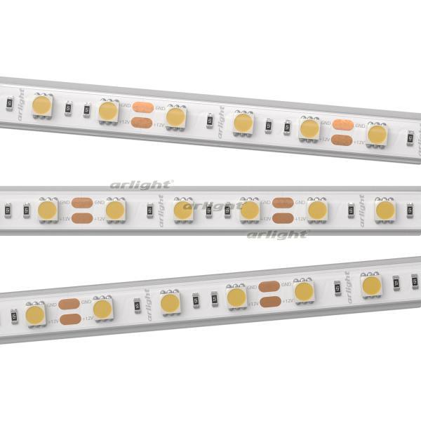 Лента светодиодная RTW 2-5000PS 12V White 6000К 2х(5060 300 LED LUX) 14.4Вт/м IP67 (уп.5м) Arlight 022323